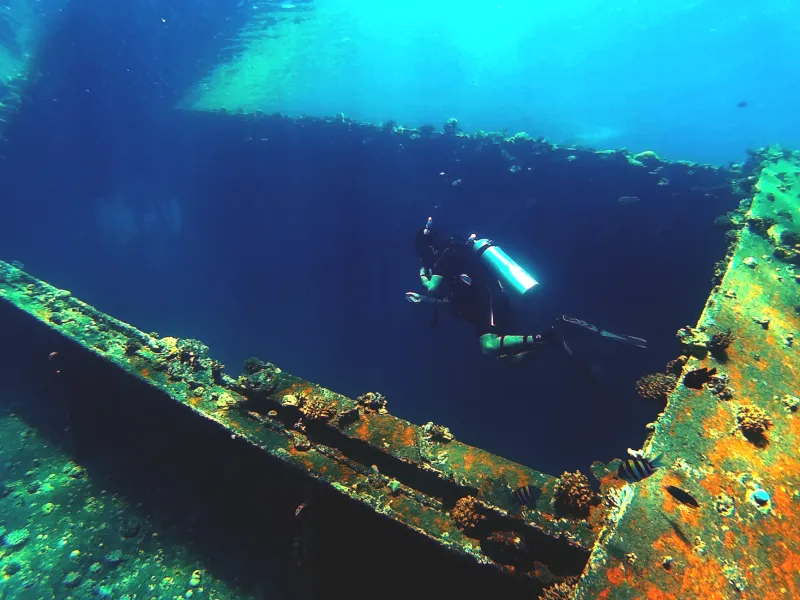 Sunken and Forgotten: The Shipwrecks Hiding Beneath the Hudson and the Divers Who Can't Leave Them Alone